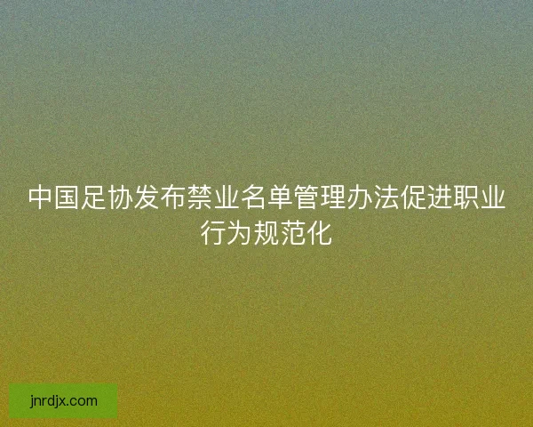 中国足协发布禁业名单管理办法促进职业行为规范化